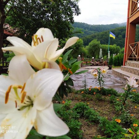 Bilovoddya Hotel Sil Екстериор снимка