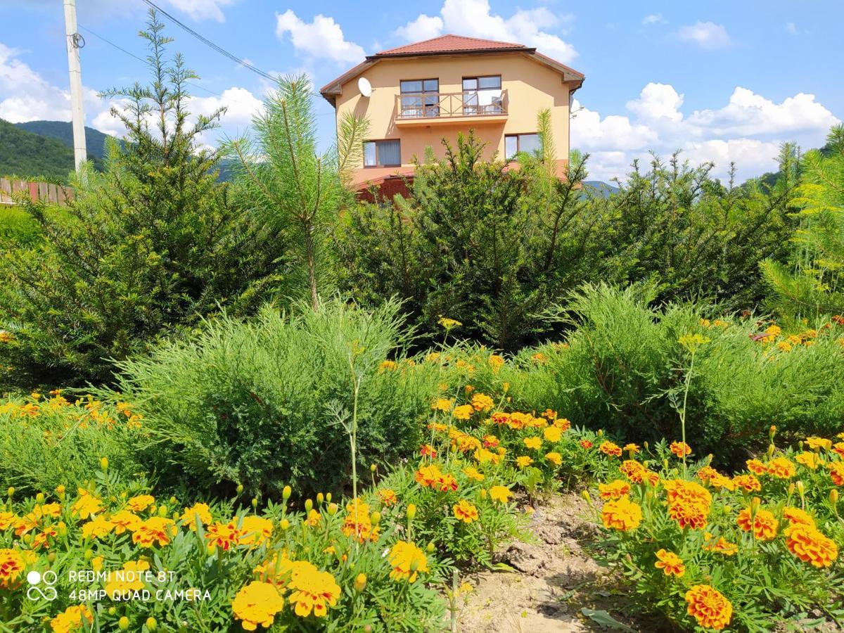 Bilovoddya Hotel Sil Екстериор снимка