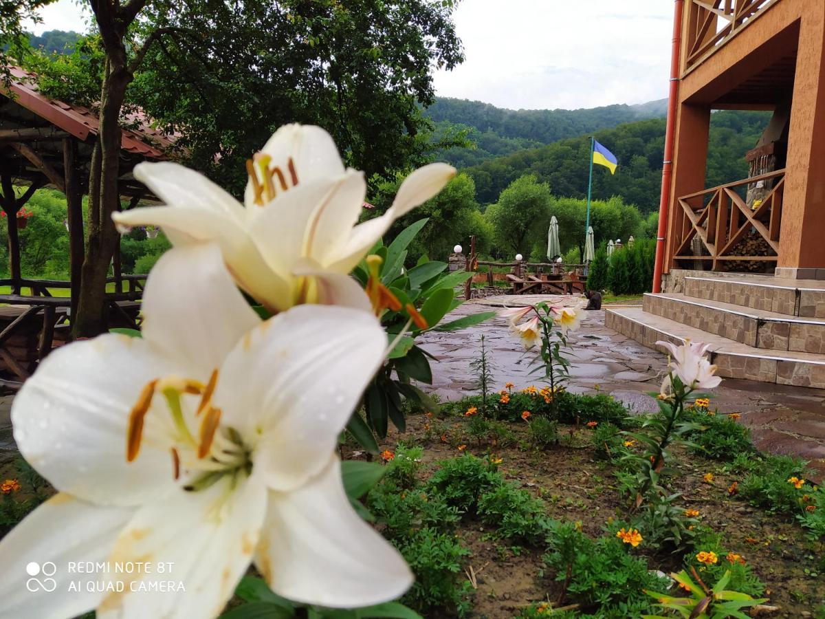 Bilovoddya Hotel Sil Екстериор снимка